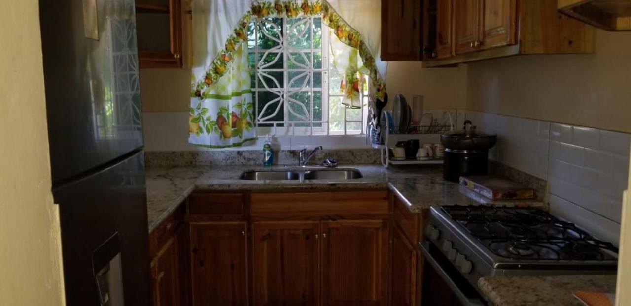 Chaudhry Holiday House Montego Bay Ngoại thất bức ảnh