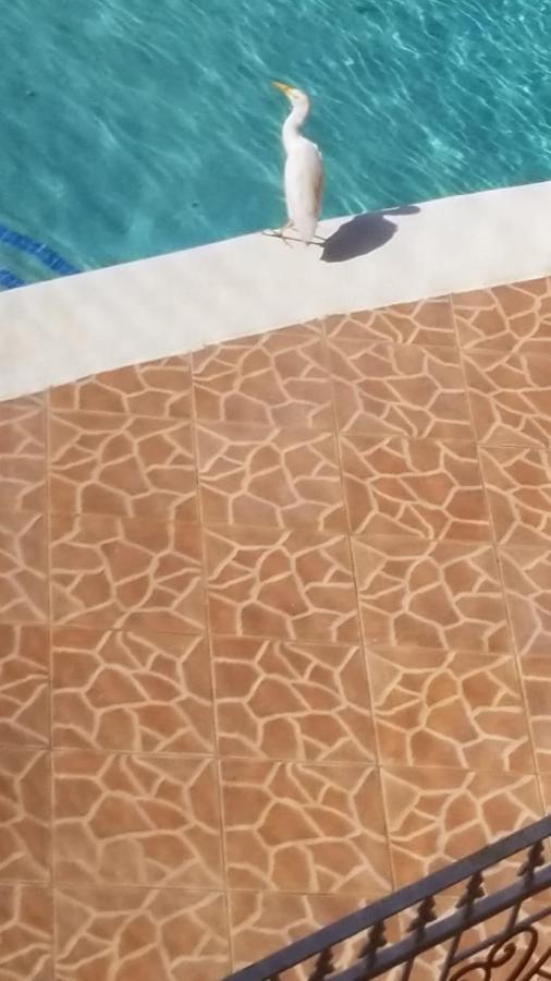 Chaudhry Holiday House Montego Bay Ngoại thất bức ảnh